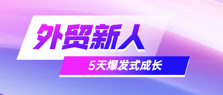 外贸新人,5天爆发式成长