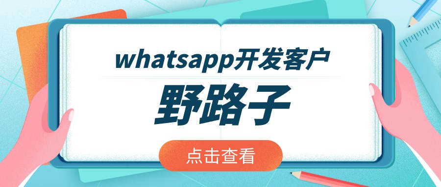 whatsapp开发客户的野路子